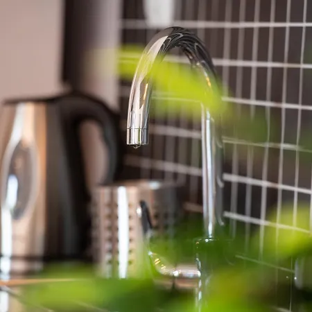 Drakatos ואסיליקי